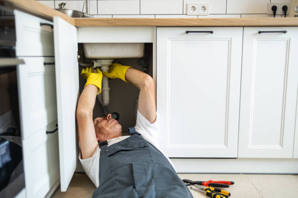 Best Plumbing Inspection Services  in Tresckow, PA